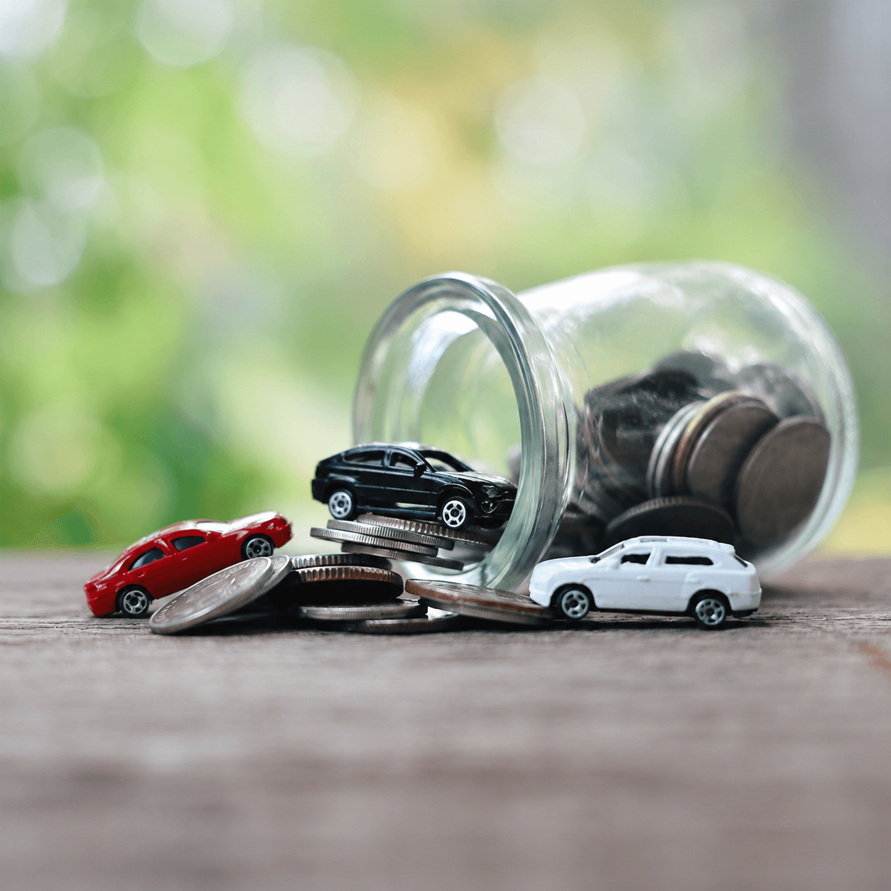 Motor Insurance